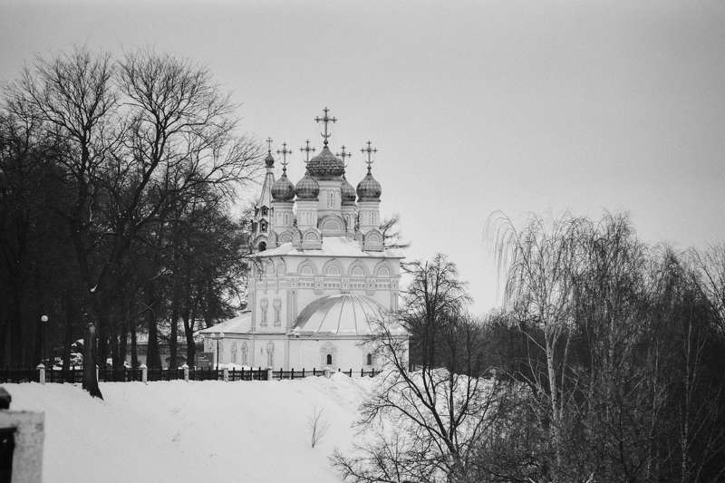 пленка, ilford, чб, bw, pan100, nikon, film, analog, b&w, Прогулки по Рязанскому кремлю. фото превью