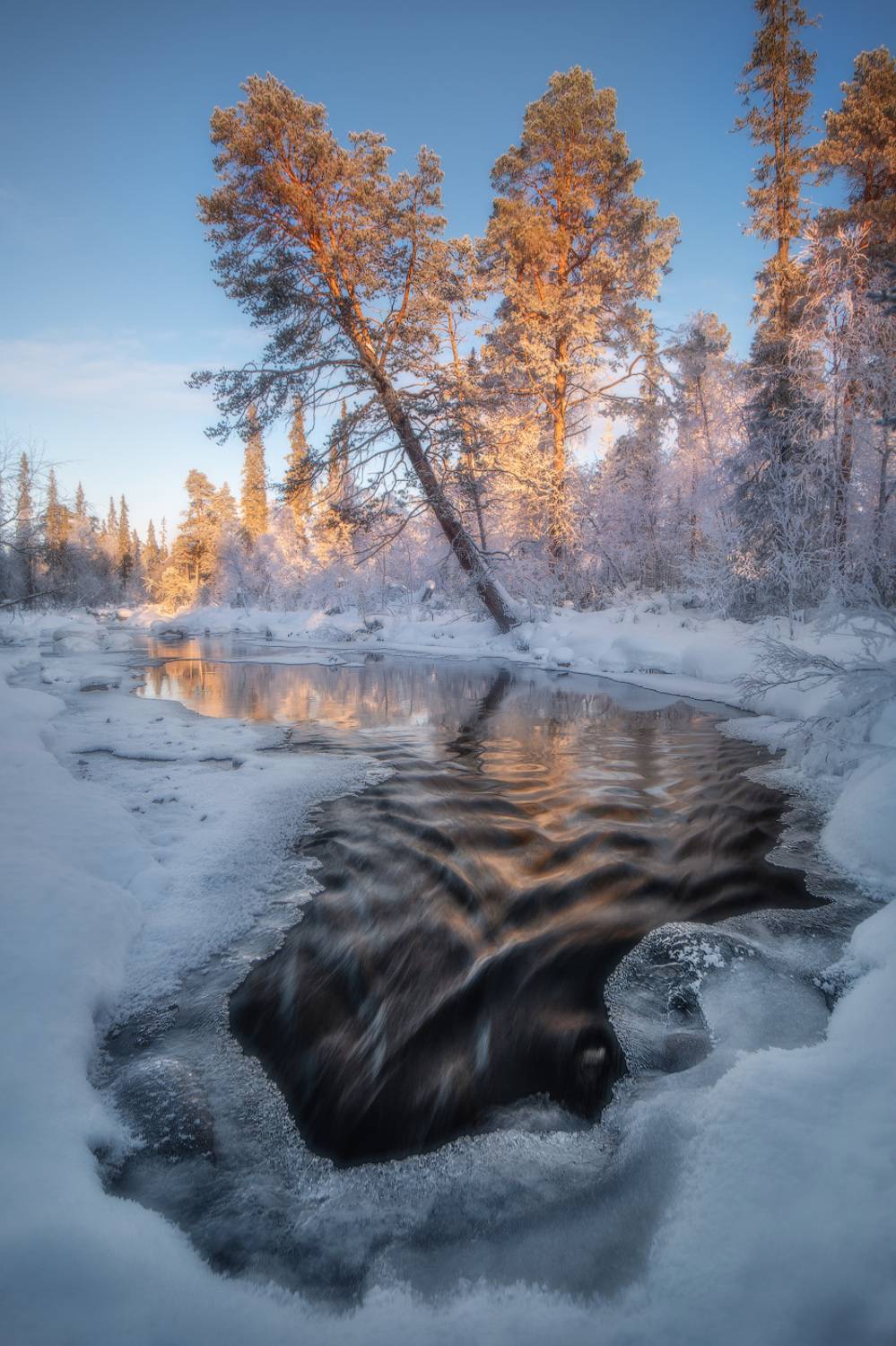 , Виктор Иванов