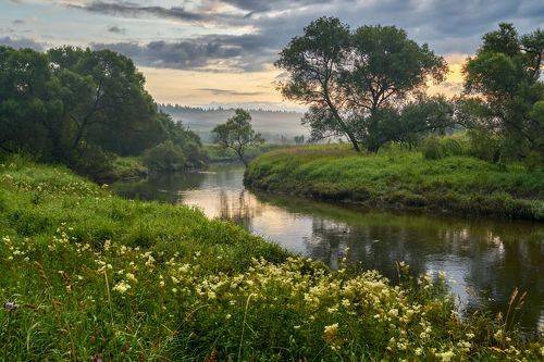 Летнее утро