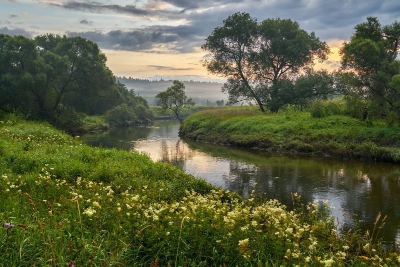 Летнее утро фото превью