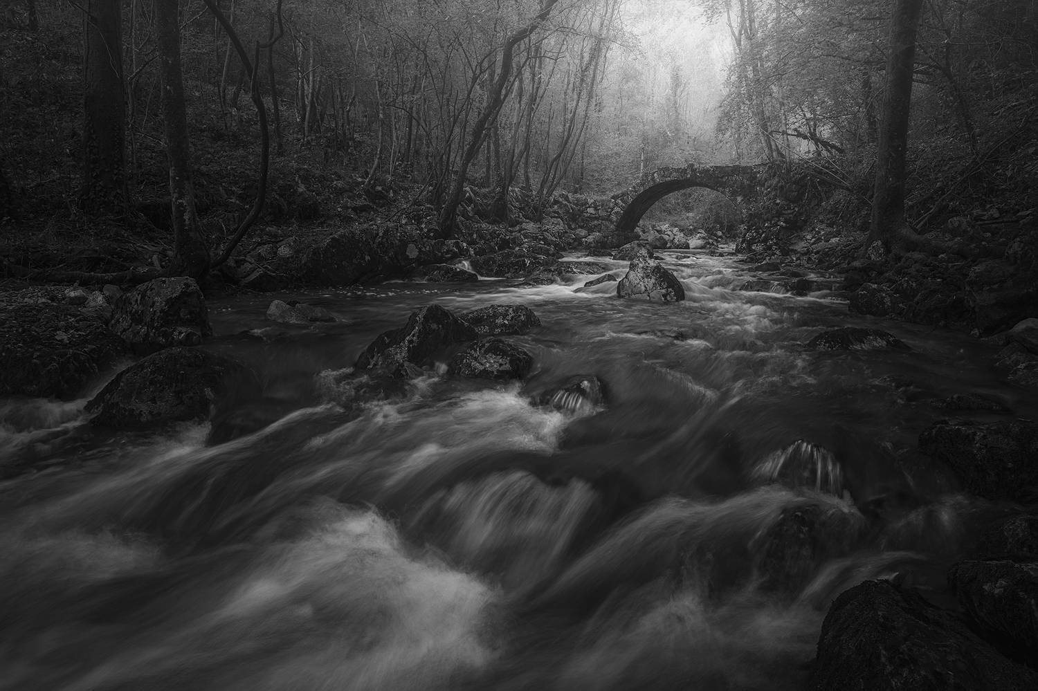 , Thomas de Franzoni