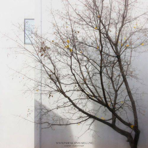 Мягкий свет сентябрьского утра