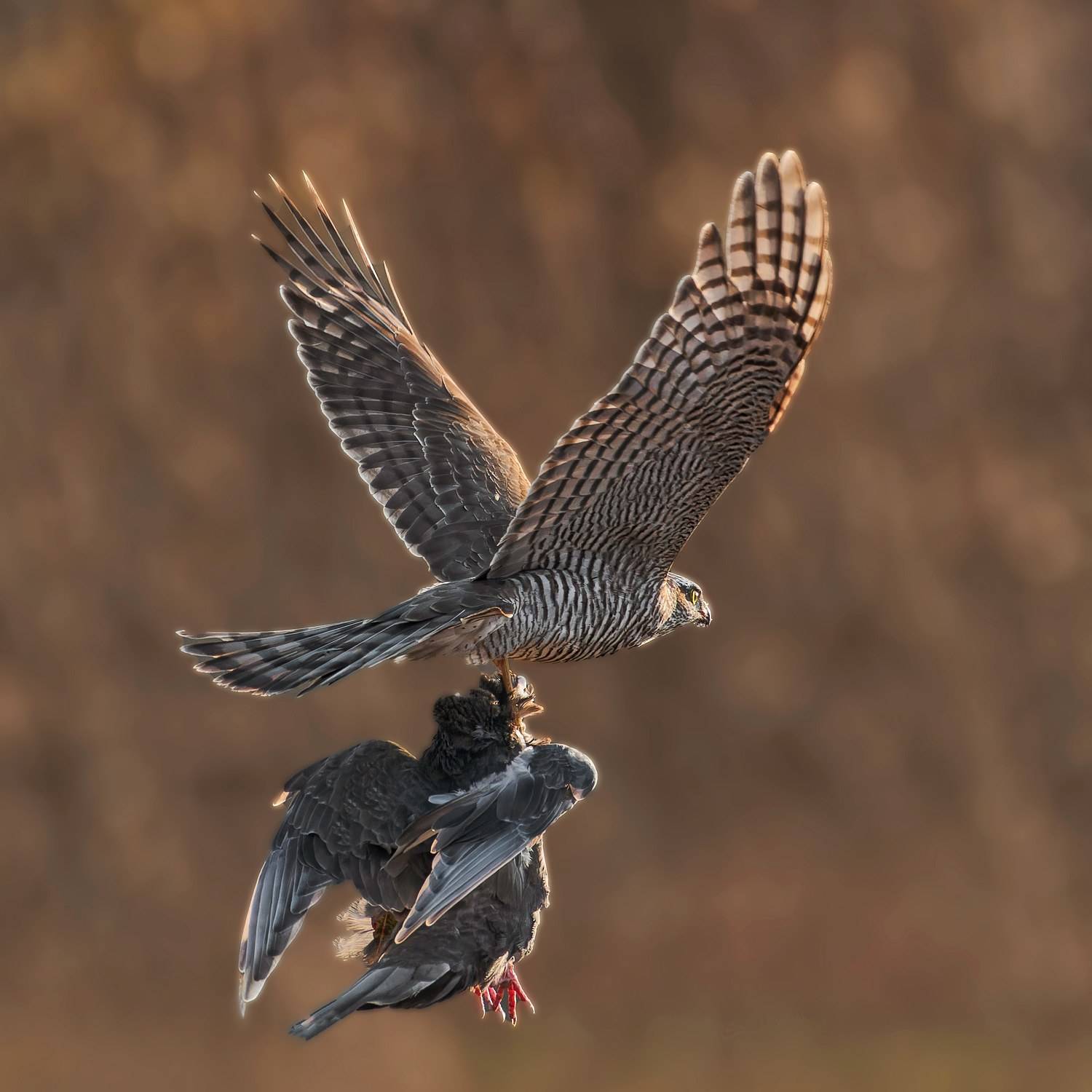 , Фото Александр