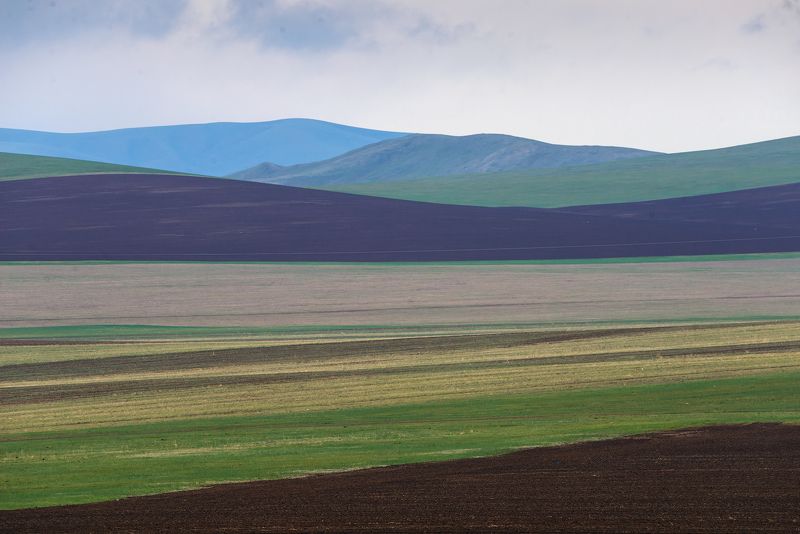 Фототур в Монголию фото превью
