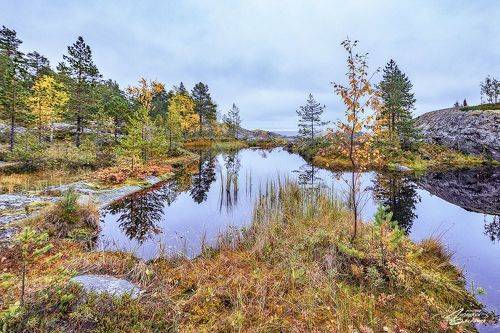 Ладожские шхеры