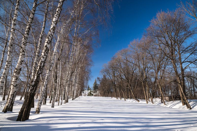 Ясная Поляна фото превью