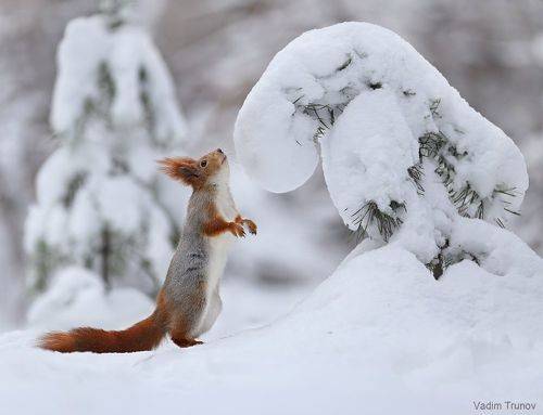 Ёлочка, тебя и не узнать!