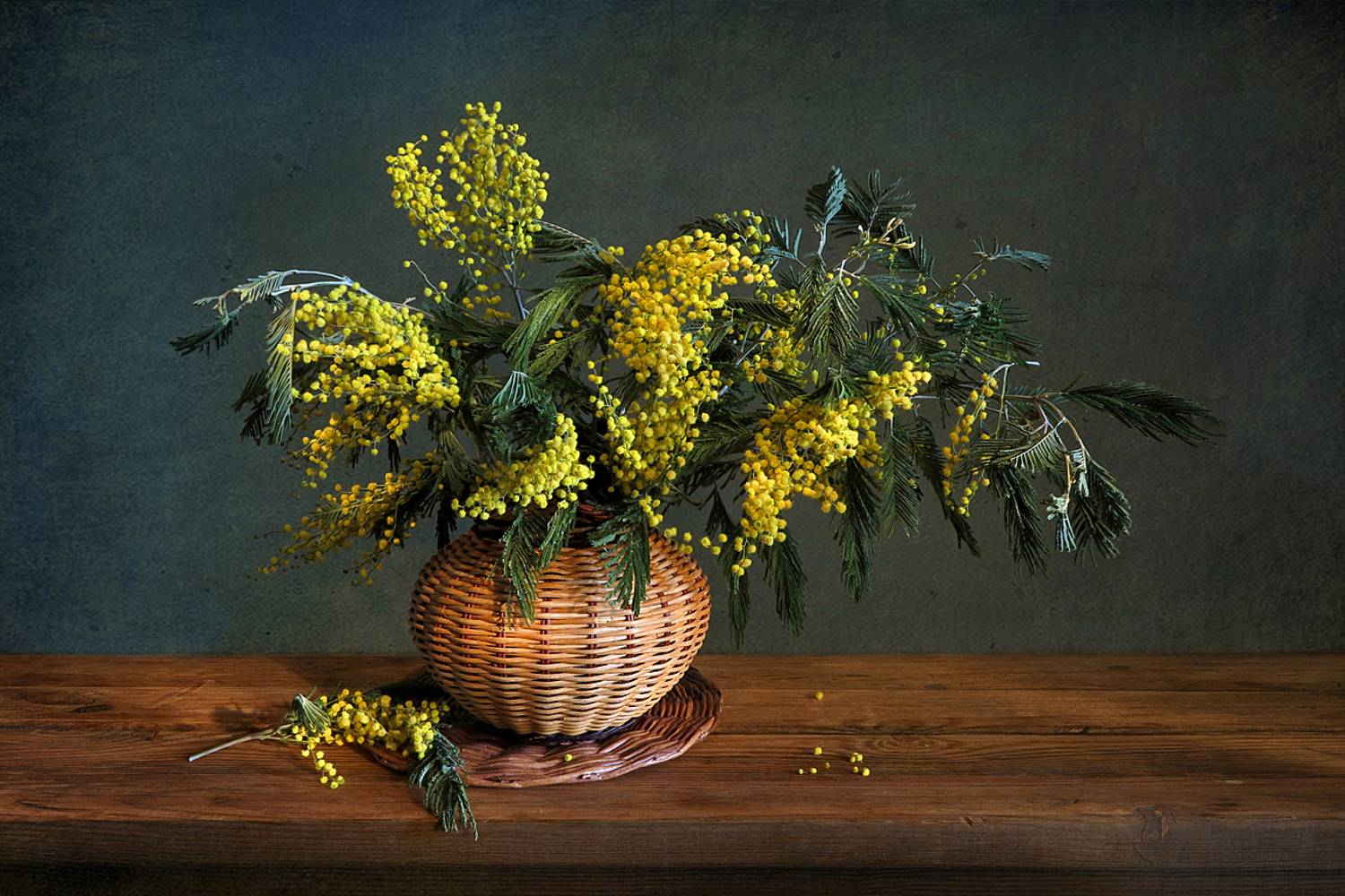 натюрморт,мимоза,ваза, Алла Шевченко