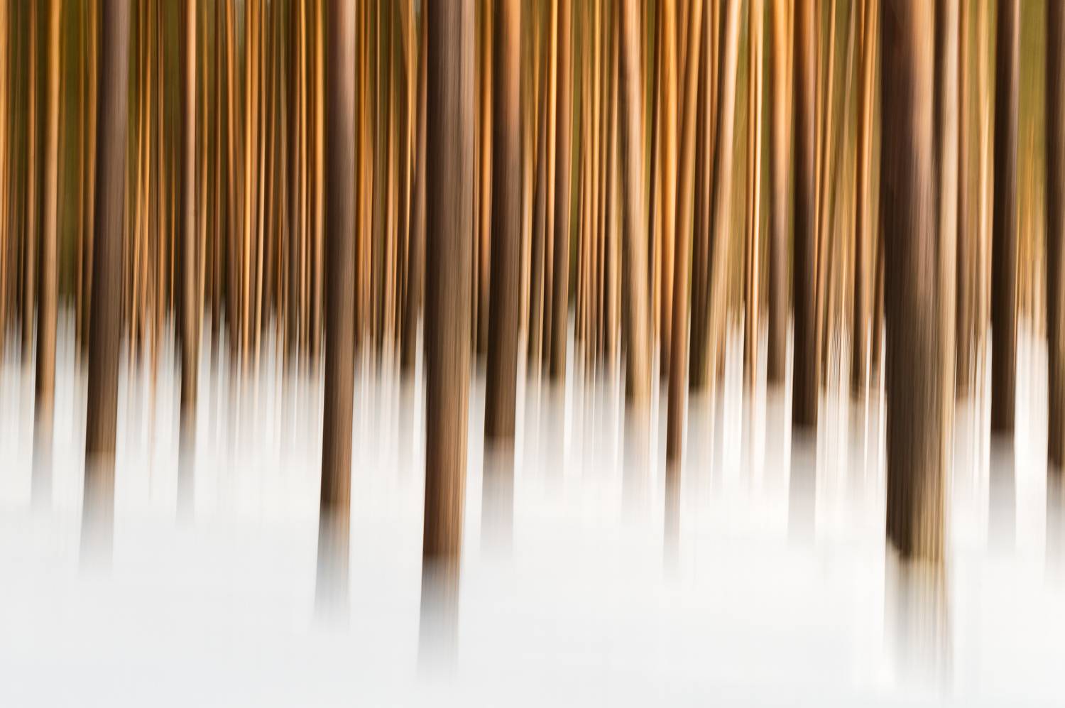 пейзаж, природа, зима, снег, лес, абстракция, республика коми, Mysov Ivan