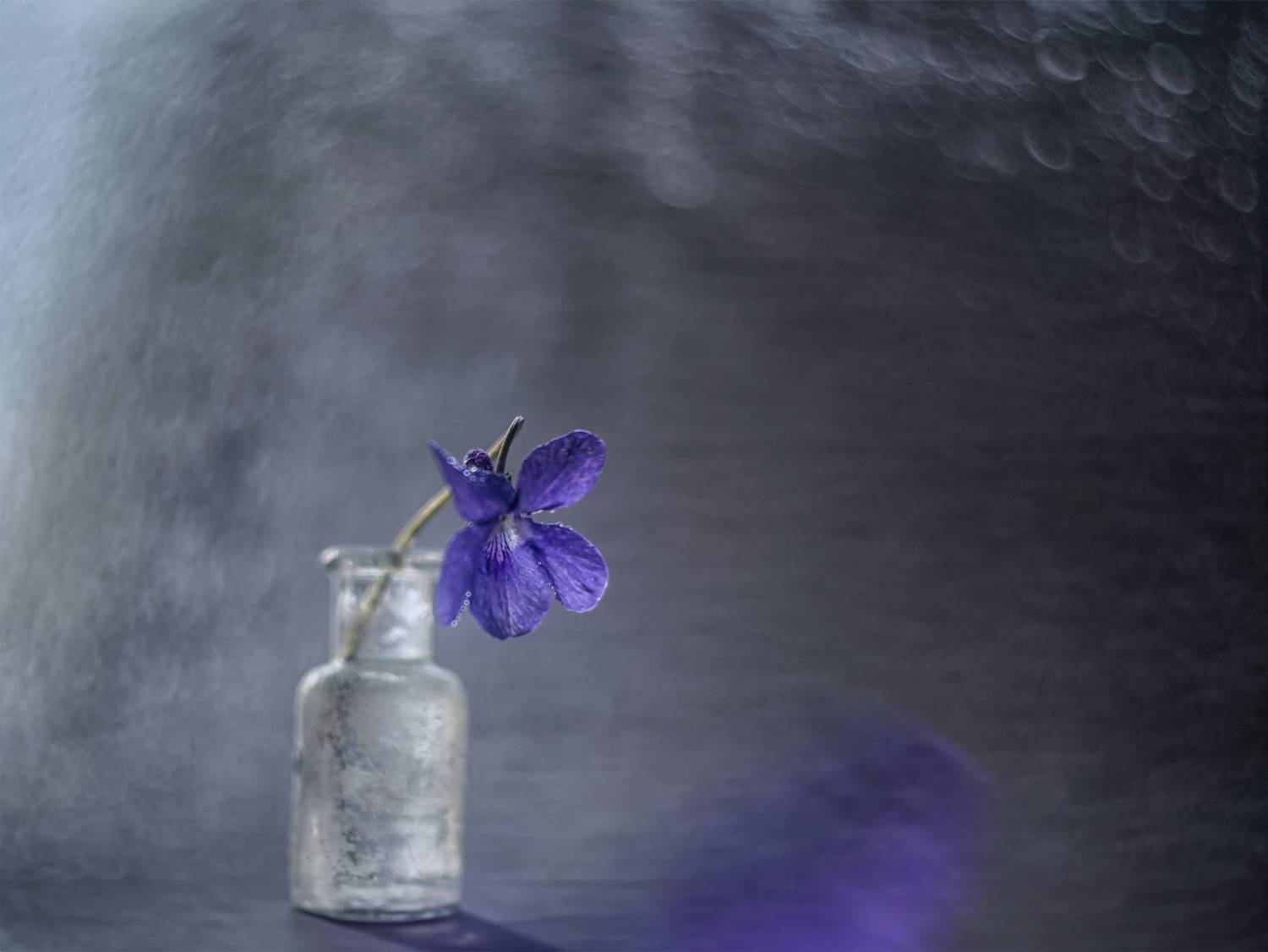 , Сигидова Ирина