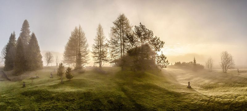 Весенний дом фото превью