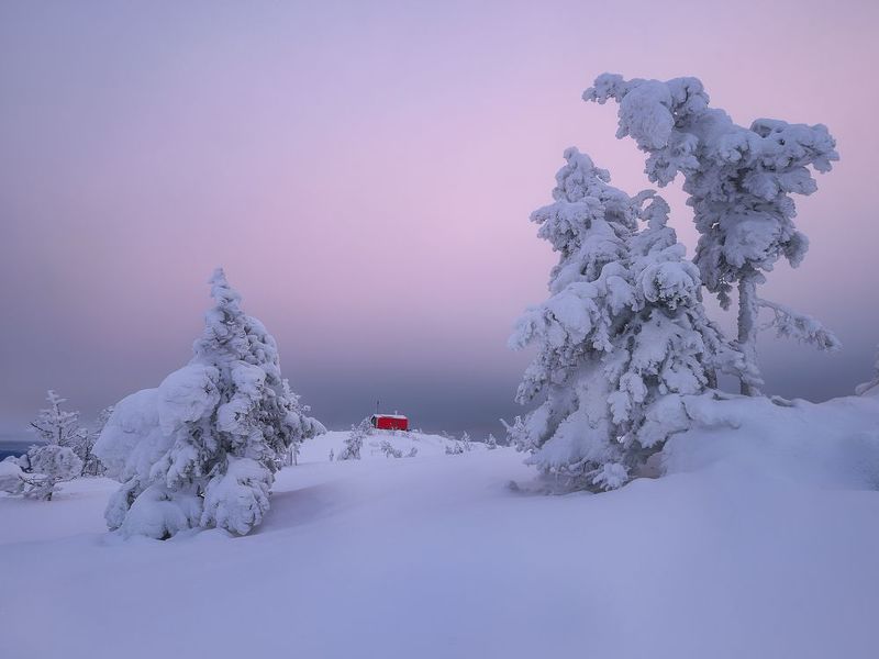 Пейзаж с Волосяной фото превью