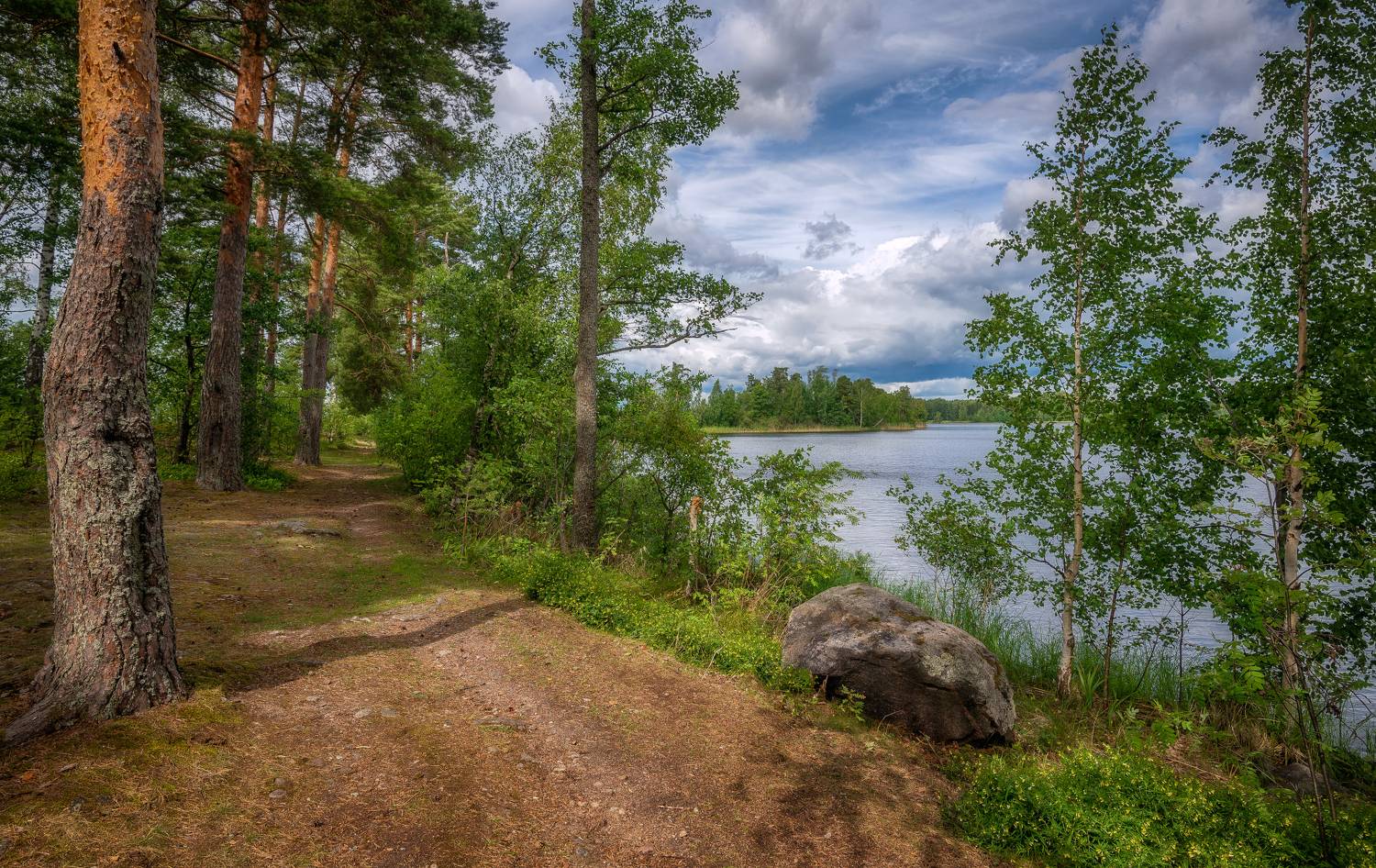 озеро, берег, вуокса, сосны, камни,июль, Сергей Аникин