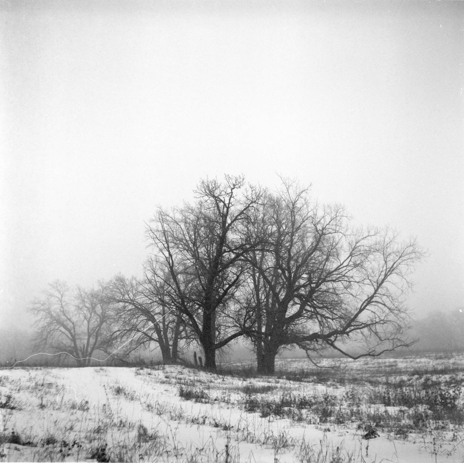 , Максим Филипов