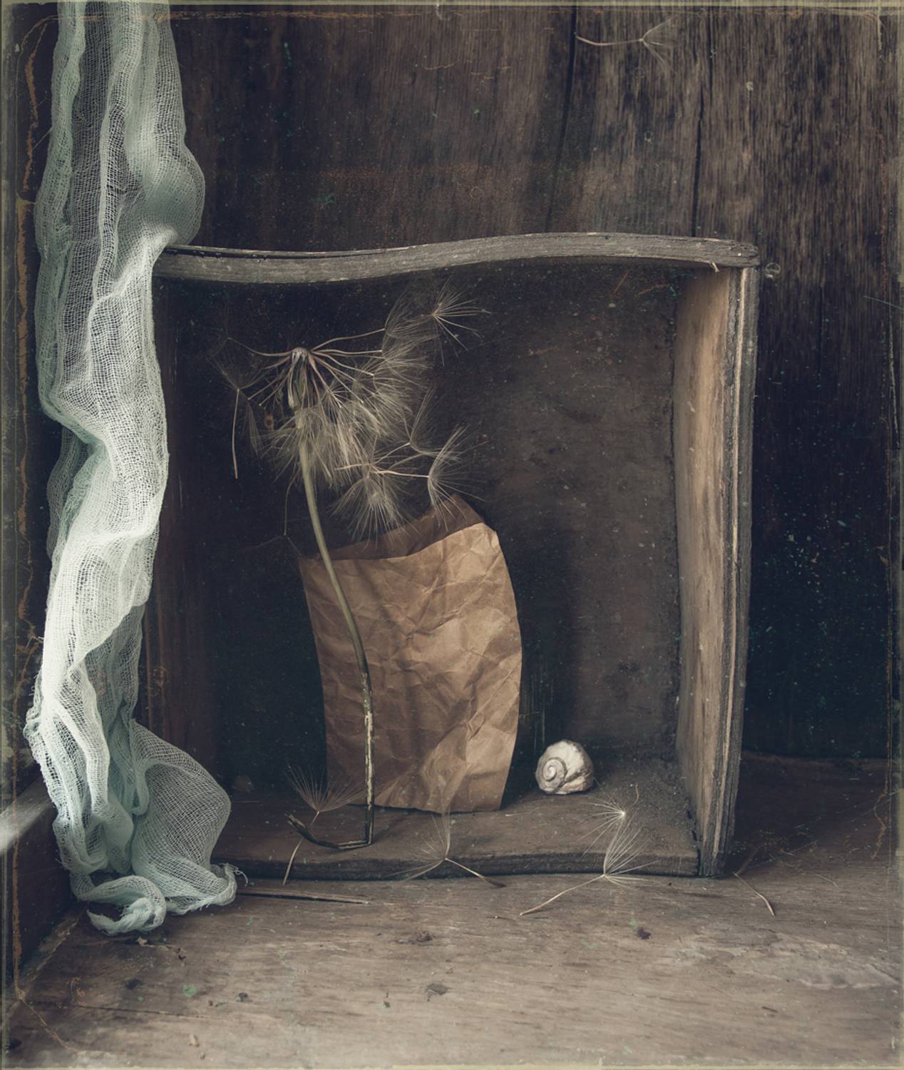 , Хромеев Александр