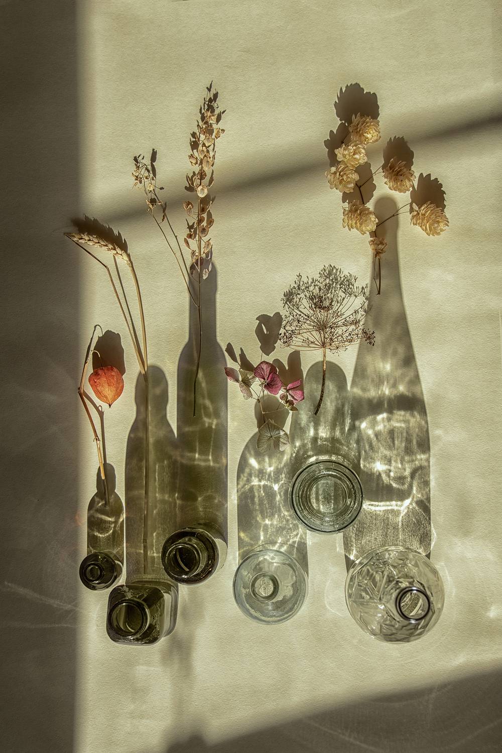 Натюрморт, Хаева Марина