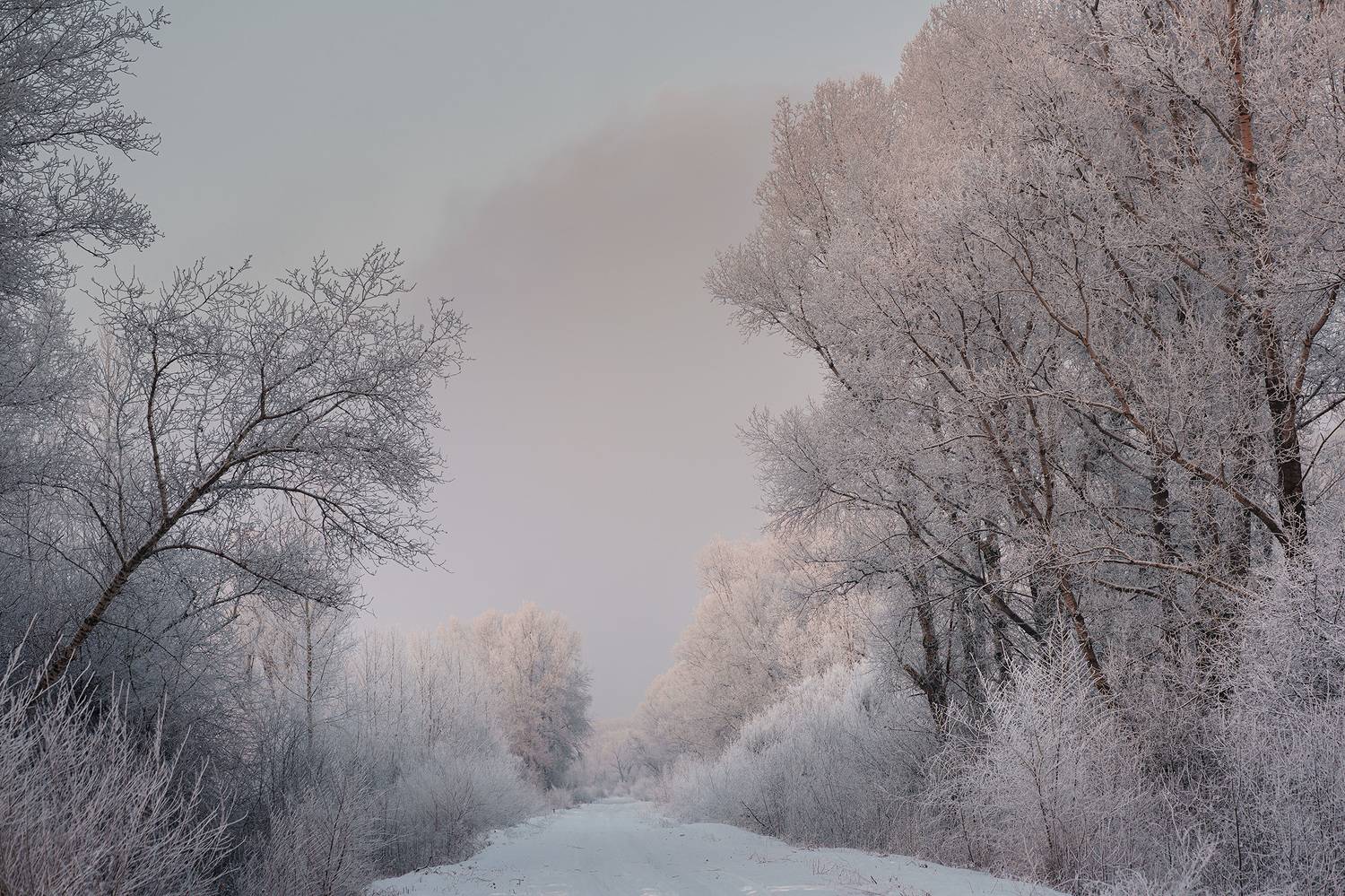 Хакасия, Енисей, закат, Julia Gorbacheva