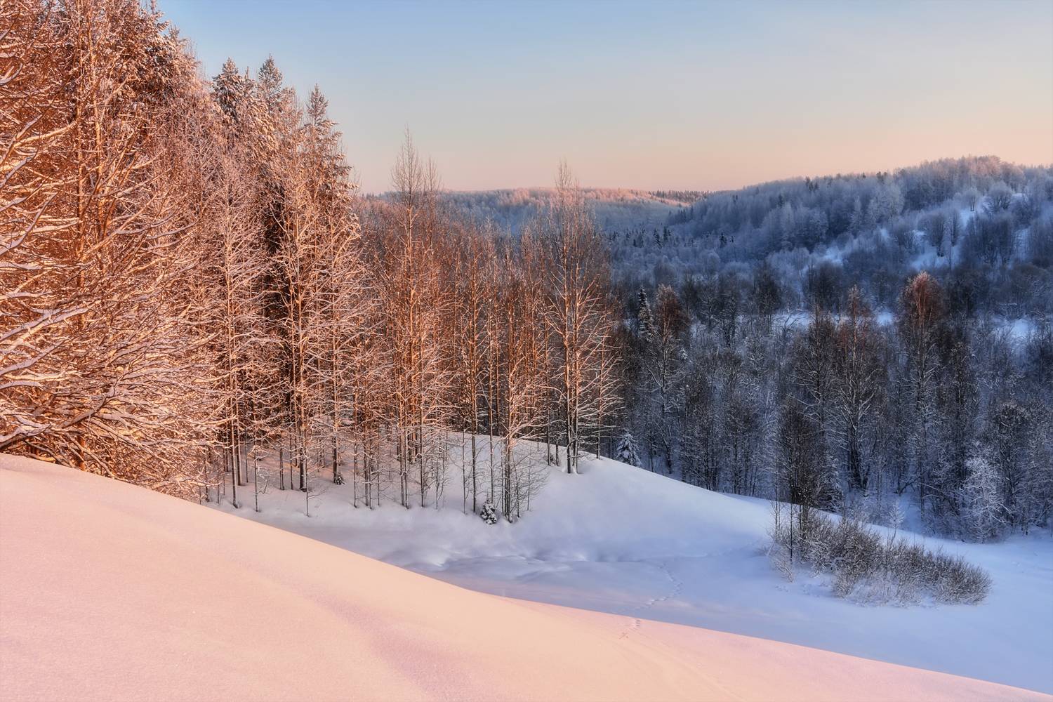 зима иней мороз деревья горки вечер, Вера Ра