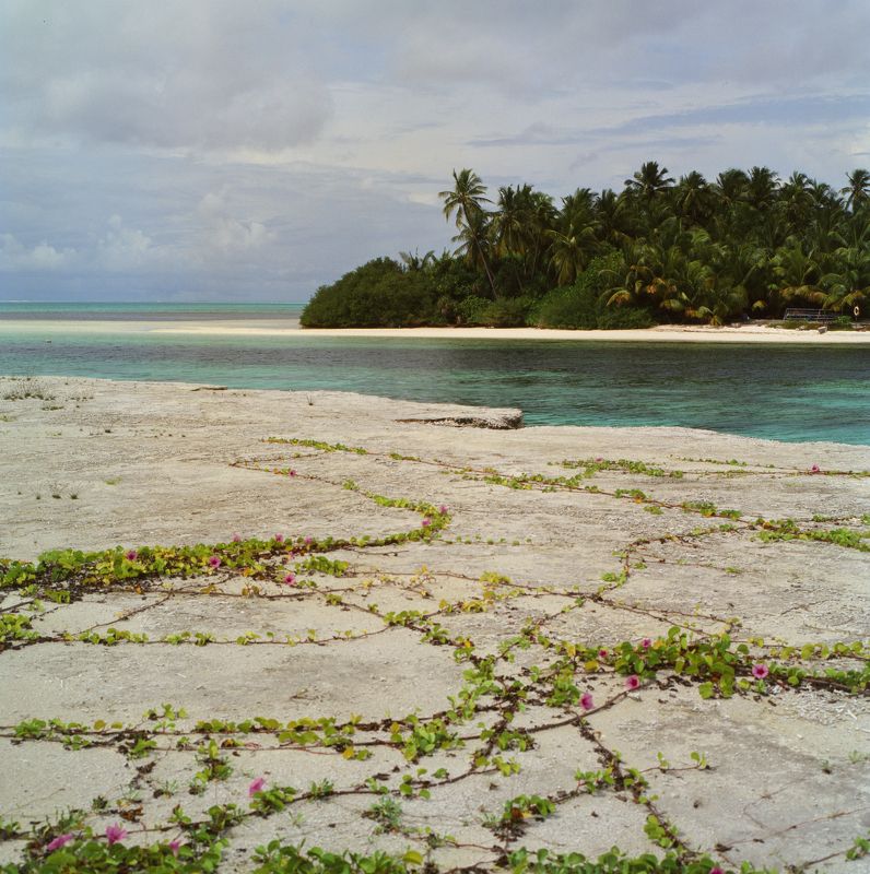 film, analog, analog photo, film photography, пленка, плёночная фотография, medium format, 120mm, 120 film, 6x6, средний формат, bronica, bronica sq-a, Zenzanon, Zenzanon80mm, Kodak, Ektachrome, E100, Ektachrome E100, Kodak Ektachrome E100  фото превью