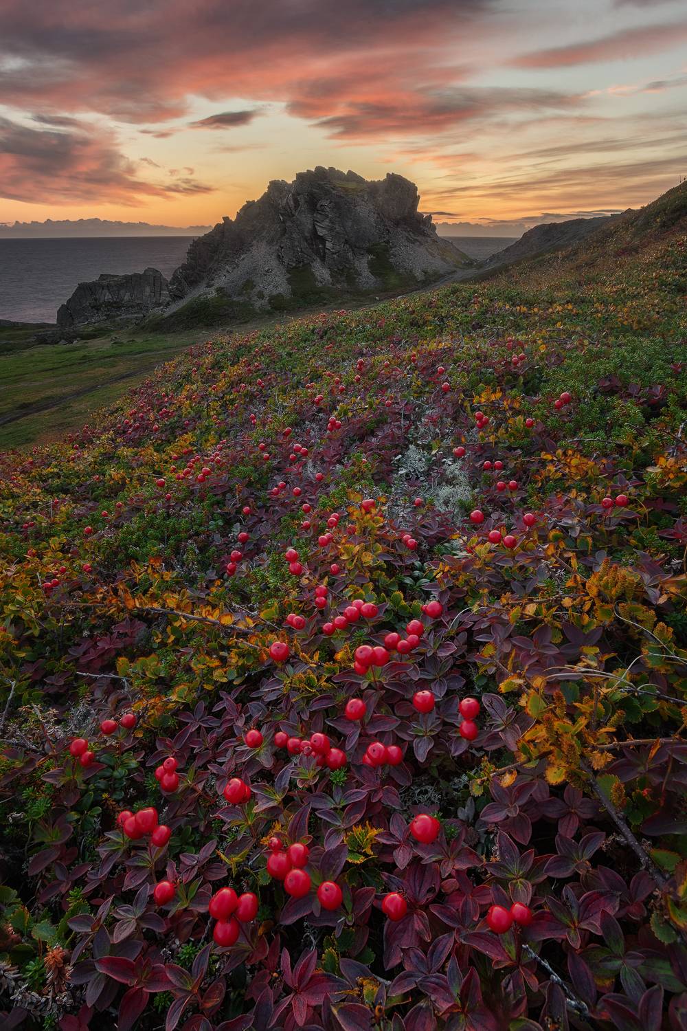 Рыбачий, баренцево море, тундра, Константин Маланин