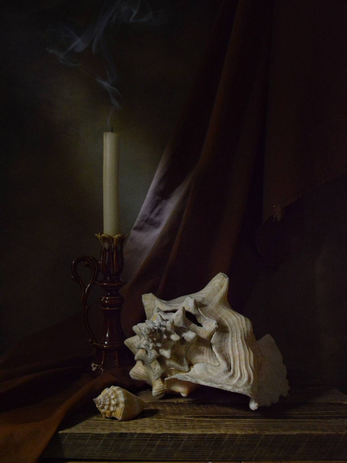 , Дина Полухина