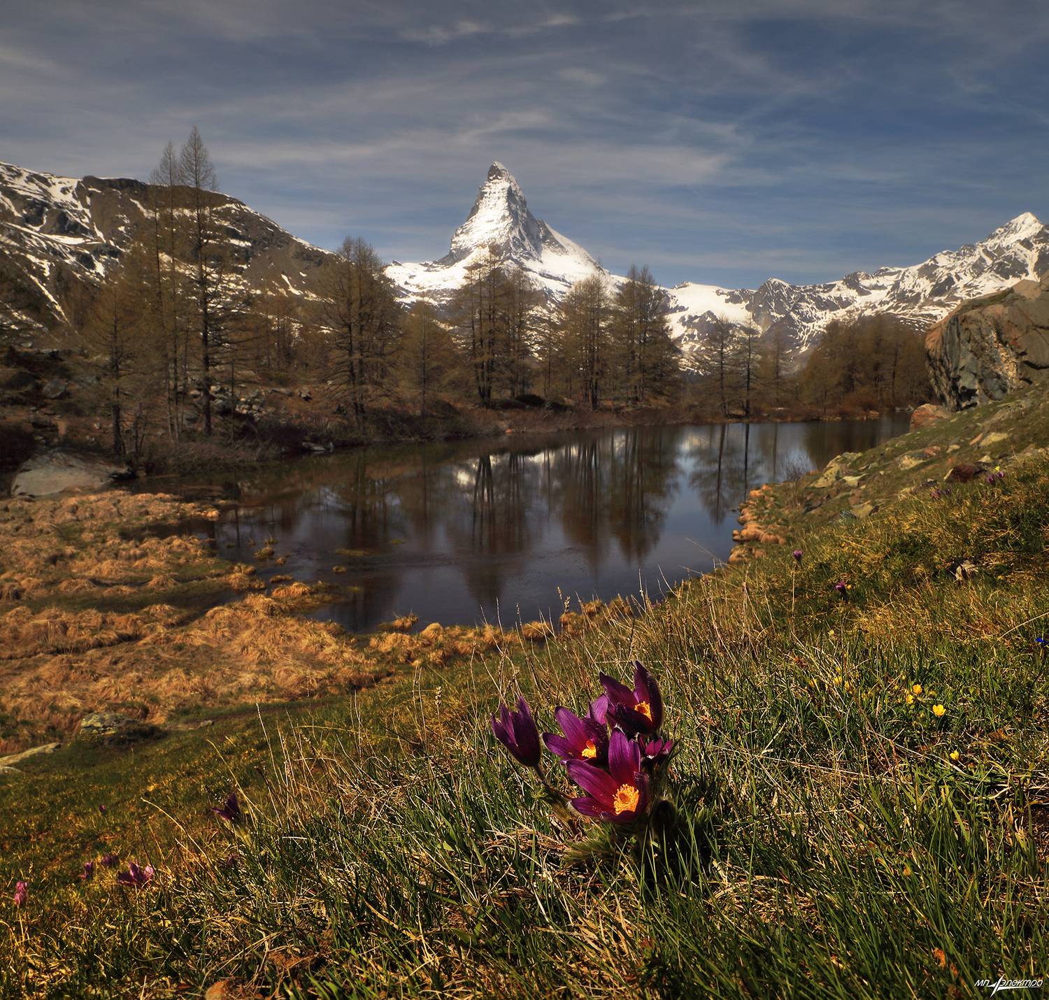 swiss,швейцария,весна,zermatt, Матвеев Николай