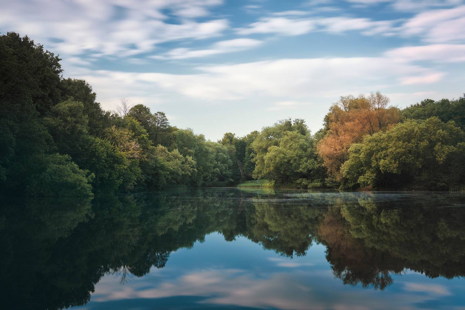 деревья, отражения, небо, Валерий Вождаев