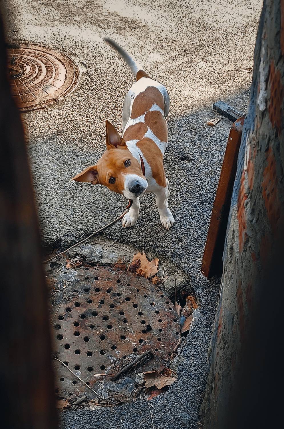 , Владимир Осауленко