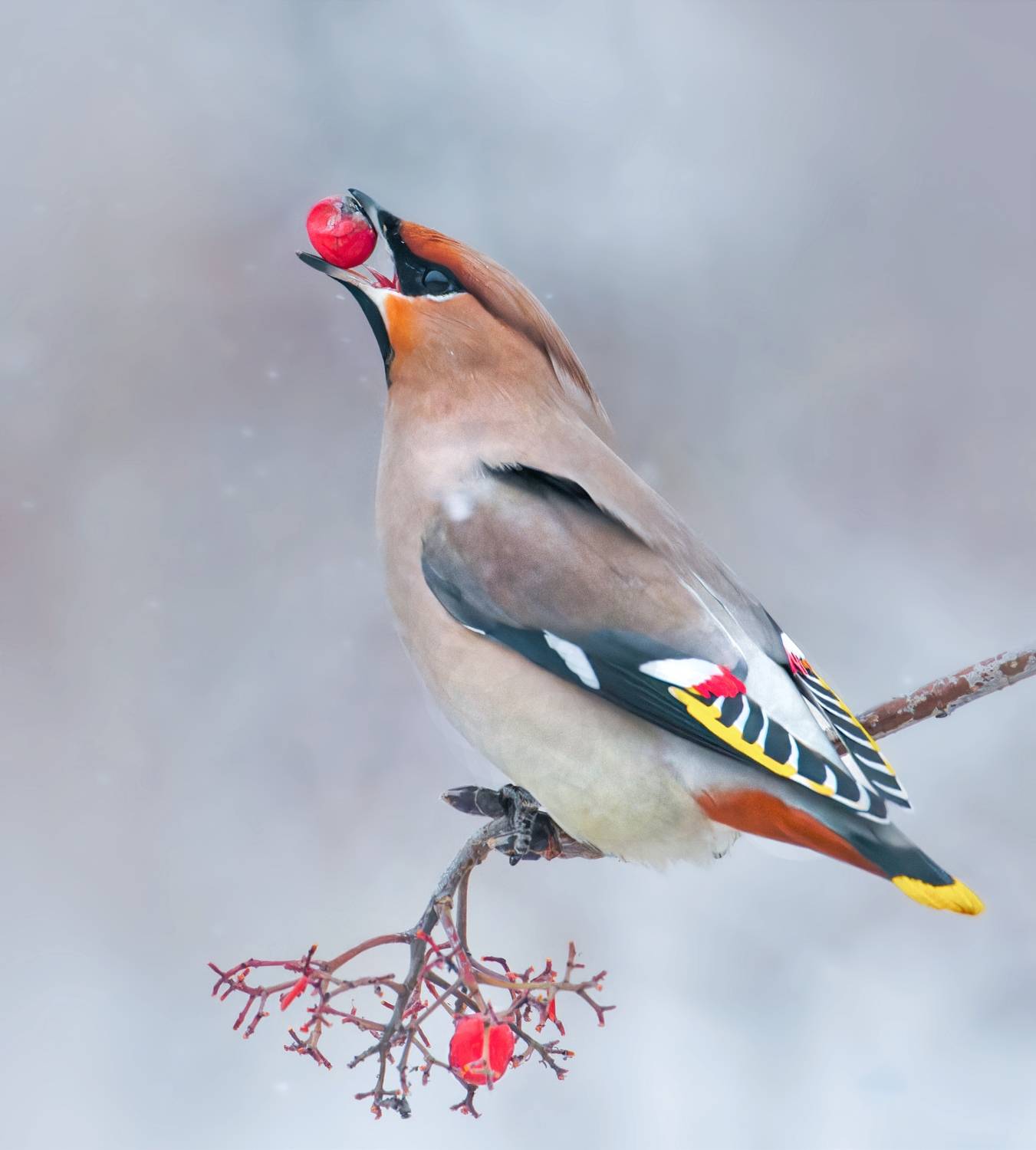 , Фото Александр