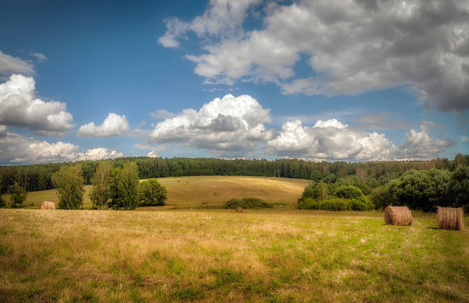 осень, поле, лес, сено, Сергей Аникин
