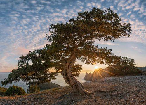 Крымские мотивы. Вечер на г.Коба-Кая