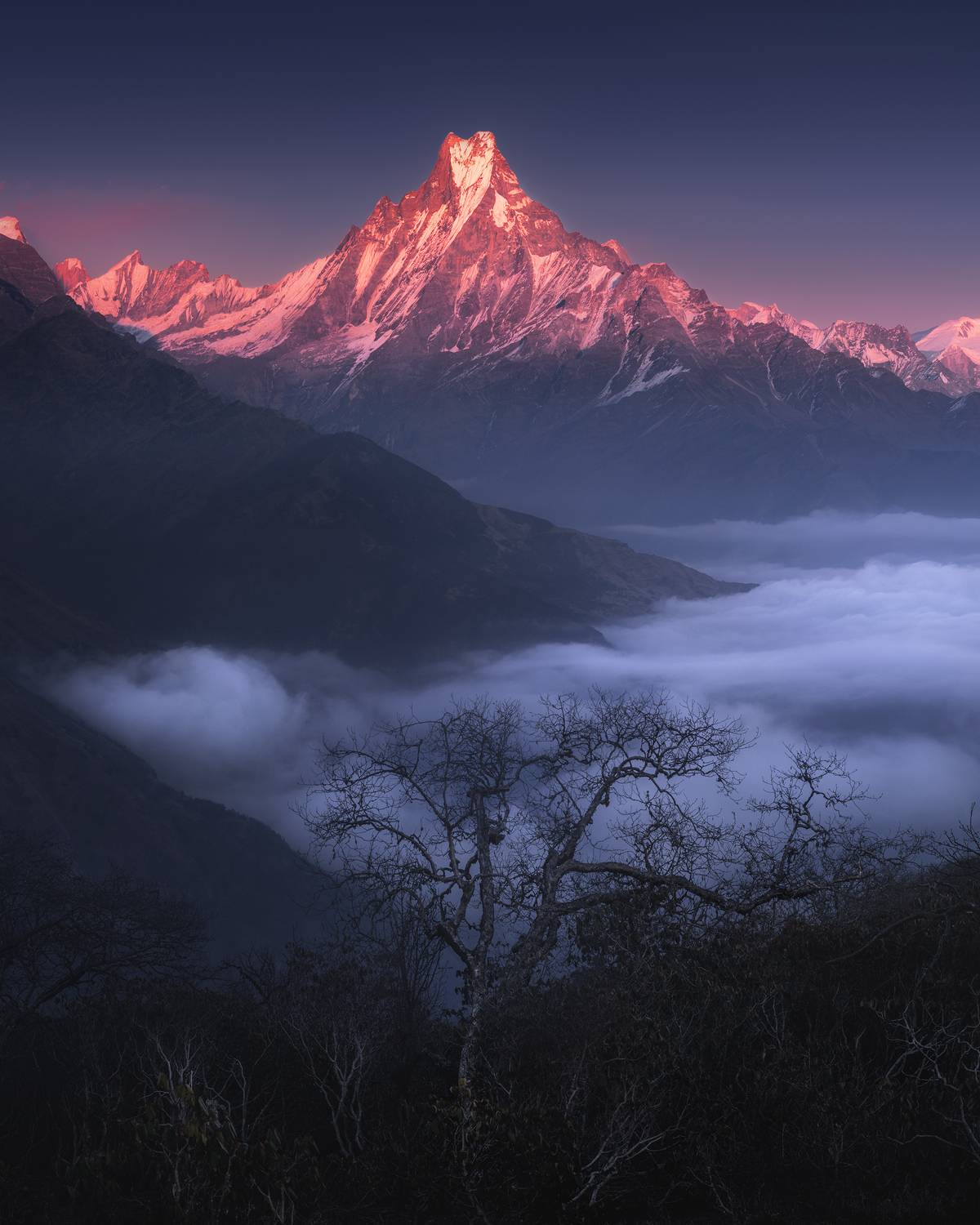 , Политова Анна