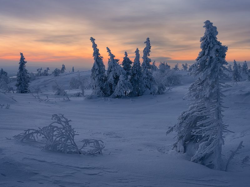 Ледяное безмолвие фото превью