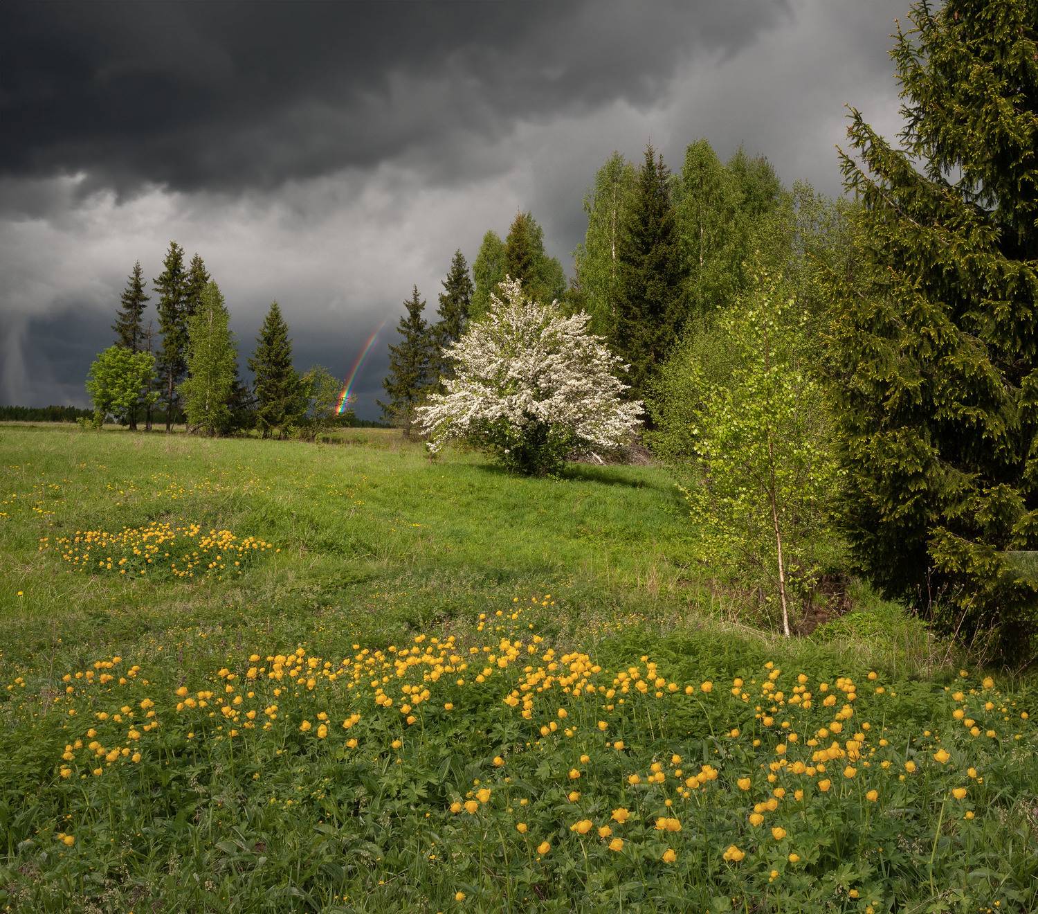 Фототуры с Владимиром Рябковым, #topnature #russpasibo #magic_shots #lovelyRussia #sunset_vision #exclusive_sky  #exclusive_shots #loves_russia2 #photoarena_nature #nature_sultans #nature_perfection #rsa_sky #rsa_sunset #photorussia #rsa_naturepics #sunse, Владимир Рябков