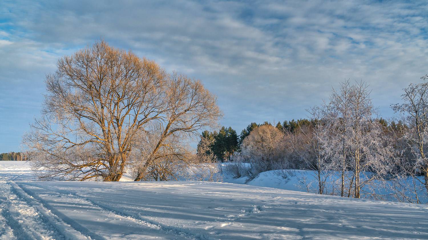 , Андреев Николай