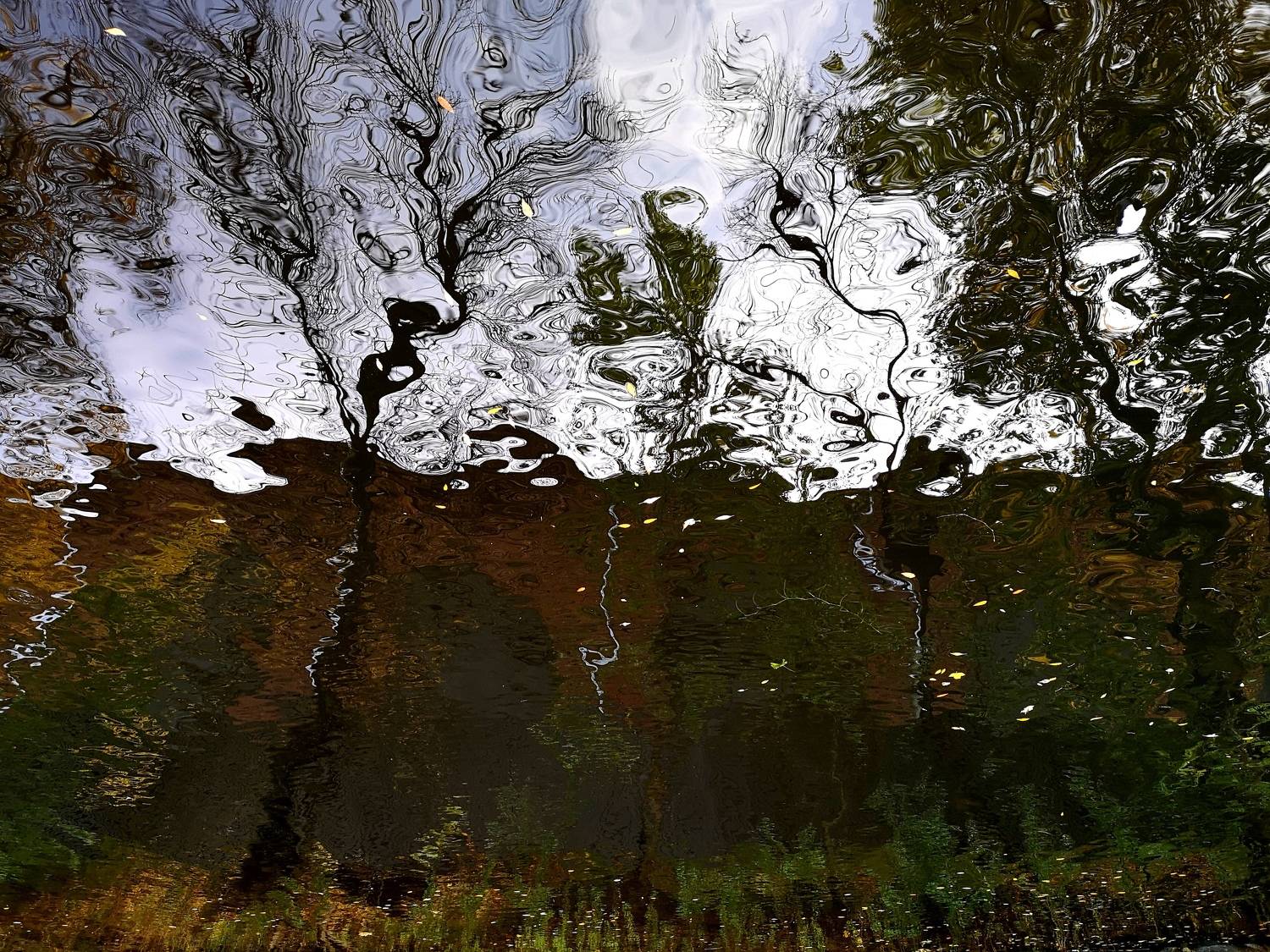 , Антон Лаба