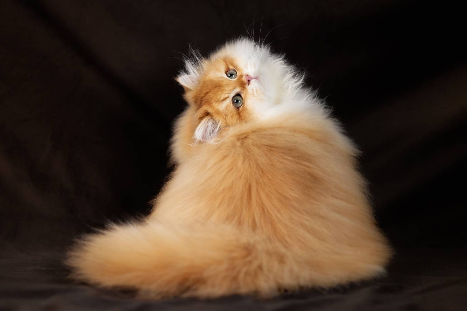 , Юлия Зубкова