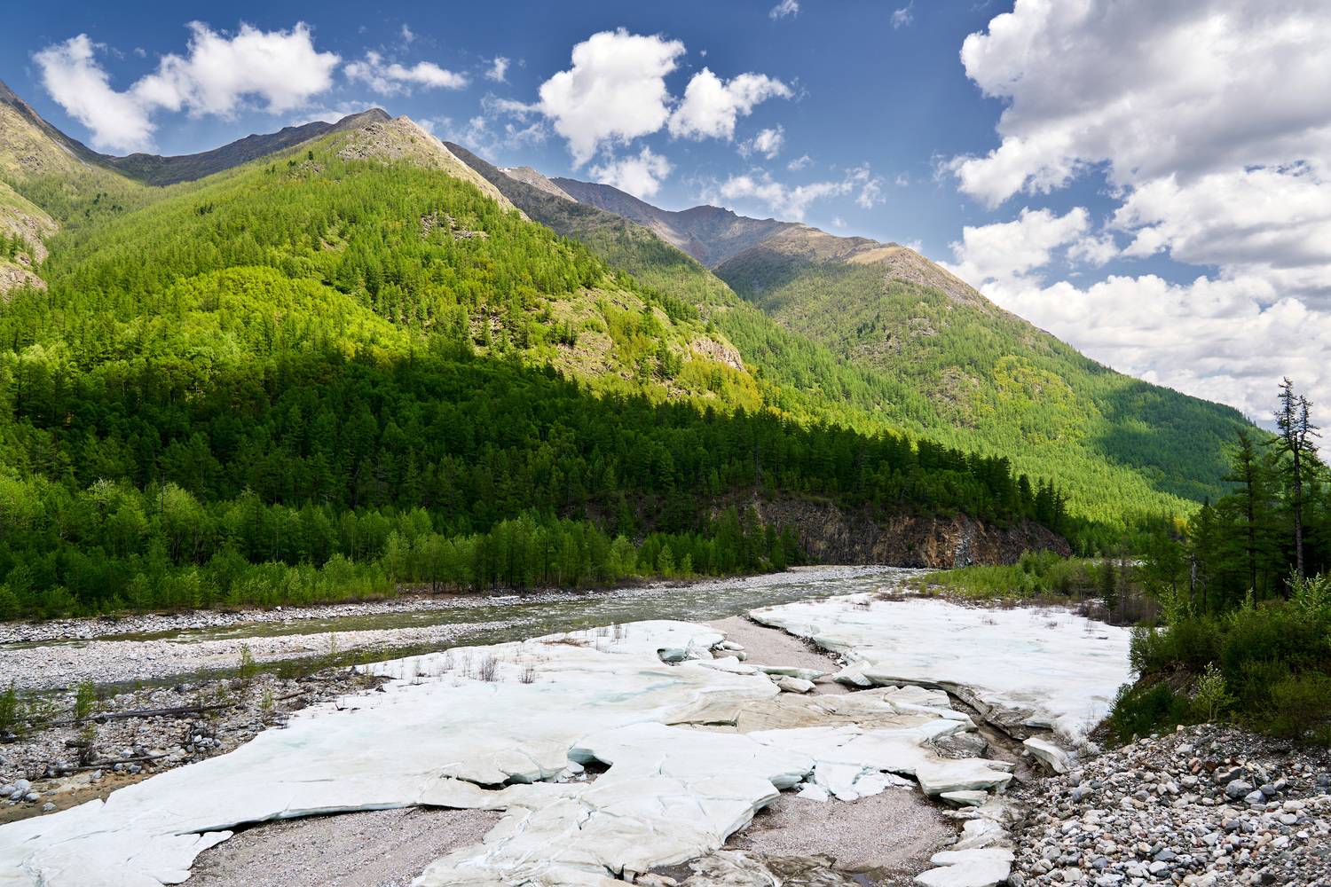 , Сергей Низовцев