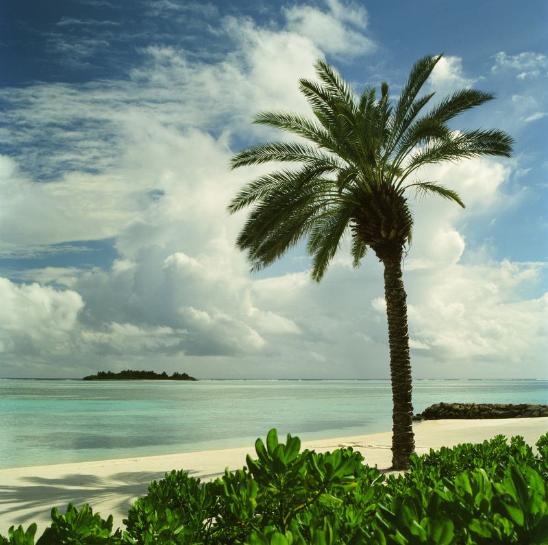 film, analog, analog photo, film photography, пленка, плёночная фотография, medium format, 120mm, 120 film, 6x6, средний формат, bronica, bronica sq-a, Zenzanon, Zenzanon80mm, Kodak, Ektachrome, E100, Ektachrome E100, Kodak Ektachrome E100  фото превью