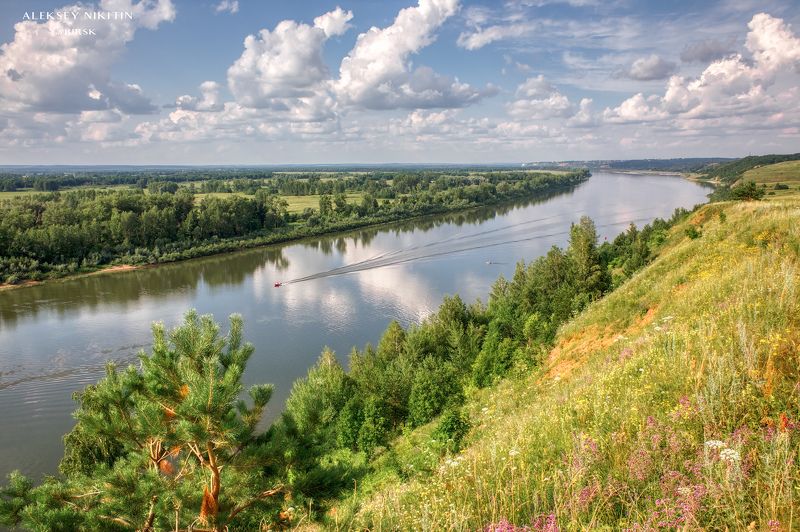 Тоска по лету. Белая, Июль, Лепота ! фото превью