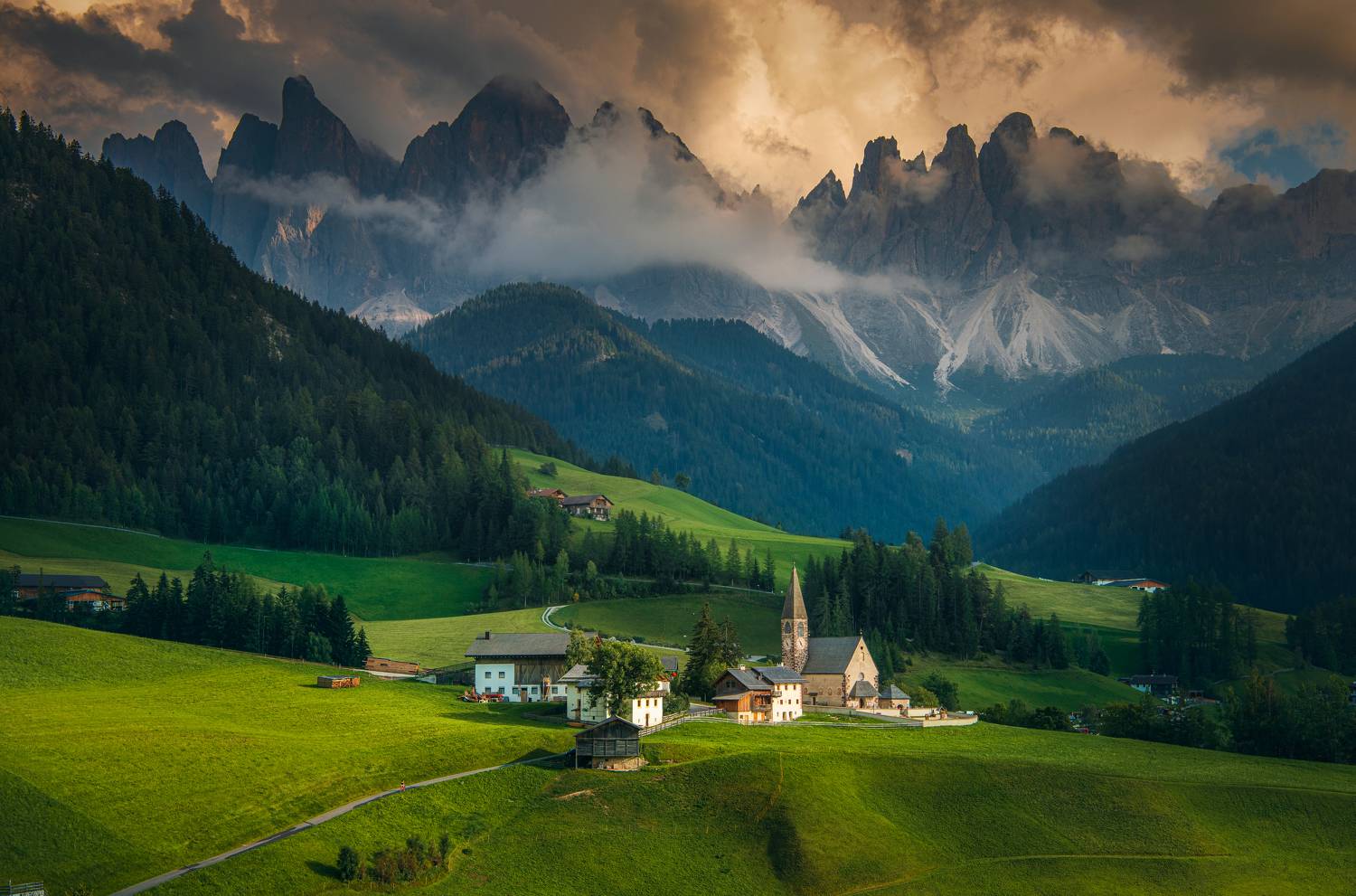 , Zavaydin Zavaydinov