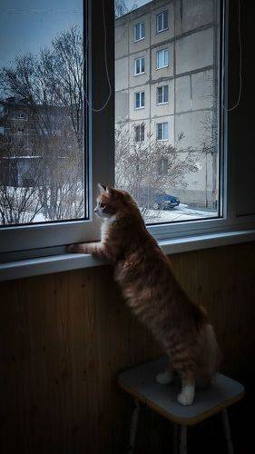 Весна?