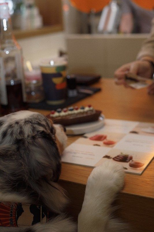 Однажды в кондитерской фото превью