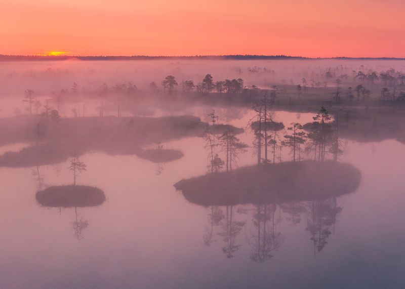#estonia #estoniabogs #nature_of_estonia #naturelovers #sunrise_sunset_photogroup #sunriseoftheday #foggymorning #foggy #bog #kõnnusuursoo #visitharju #visitestonia #earlymorningwalk #morningmotivation #sunrise_sunsets #dji #drone #aerial #djiphotography  --- фото превью