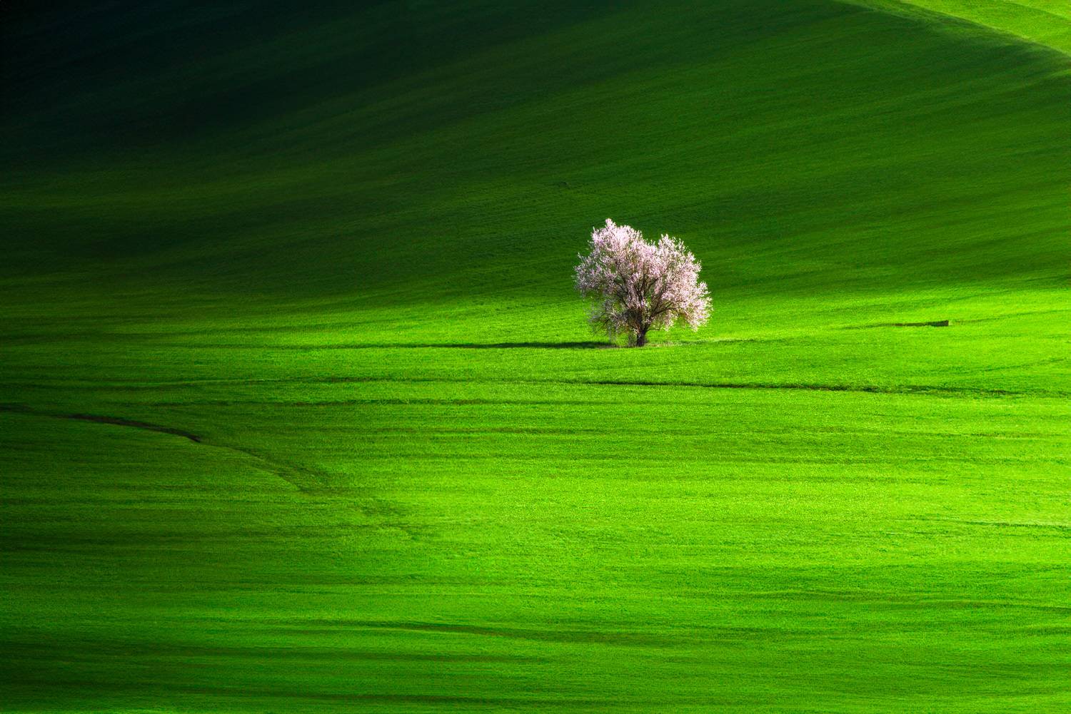 , Leonov Nikos(Nougzari)