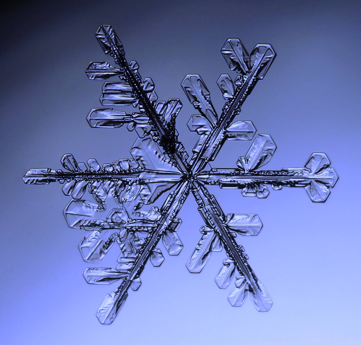 , Борис Риганов