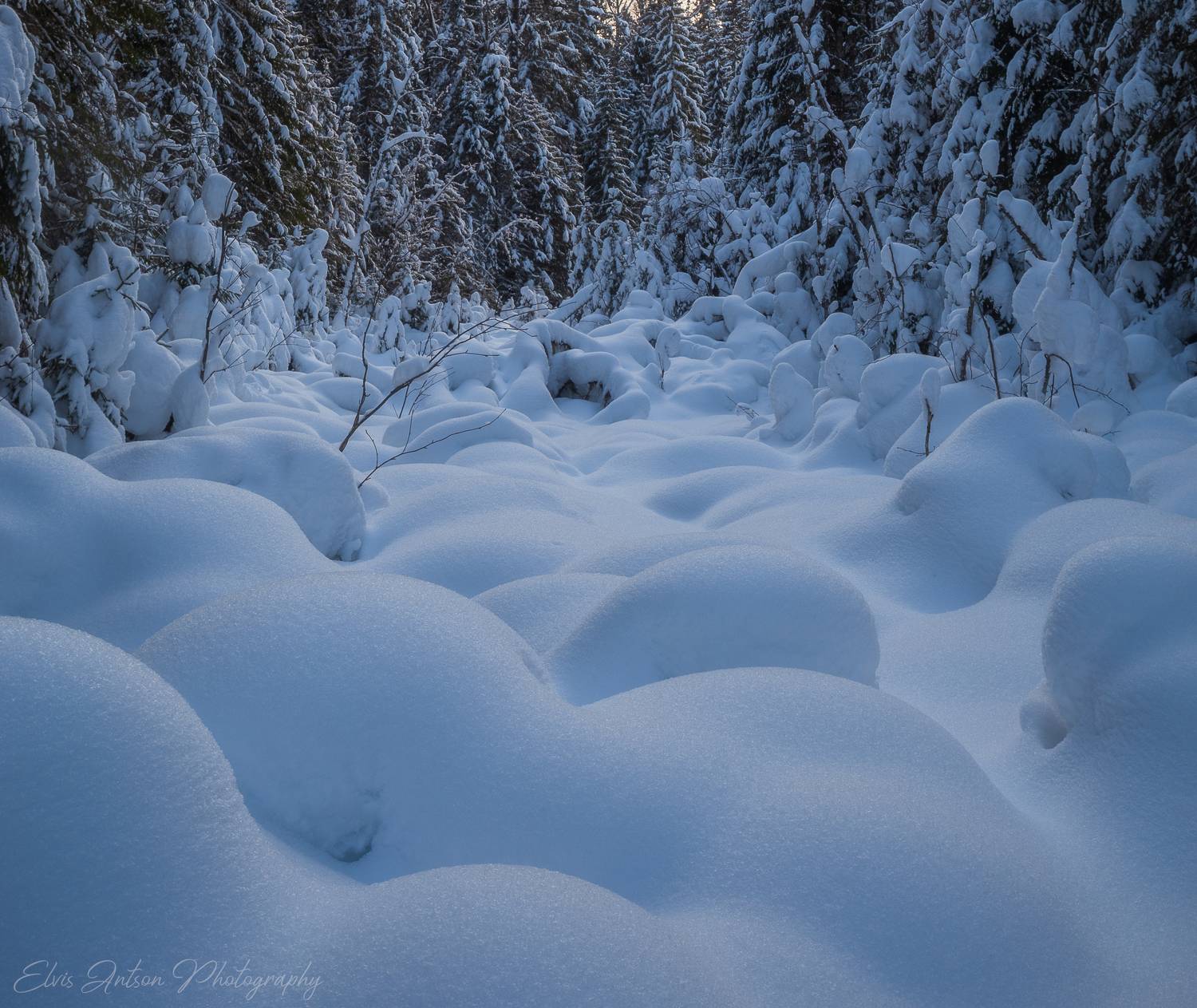 зима, пейзаж, природа, Elvis Antson