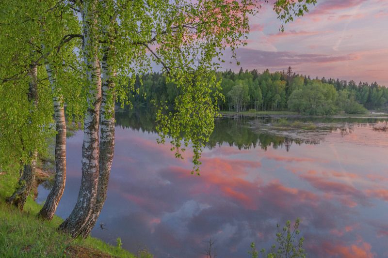 Майский вечер в Подмосковье. фото превью