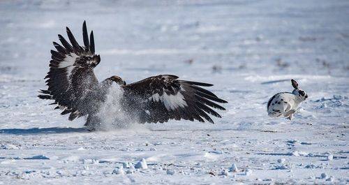 Промахнулся