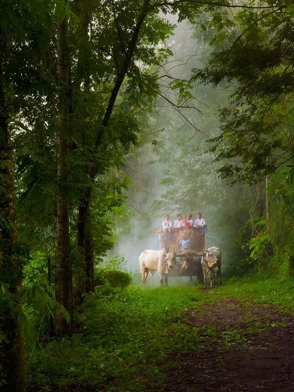 Village boys going to school фото превью